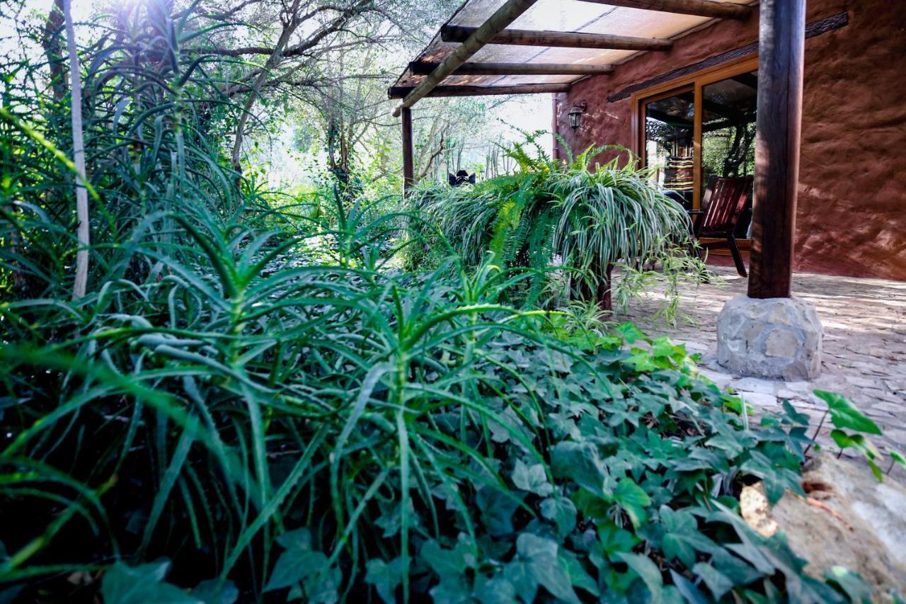 Tikal Boungalows Hotel Malcocinado  Ngoại thất bức ảnh